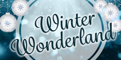 Winter Wonderland Parties